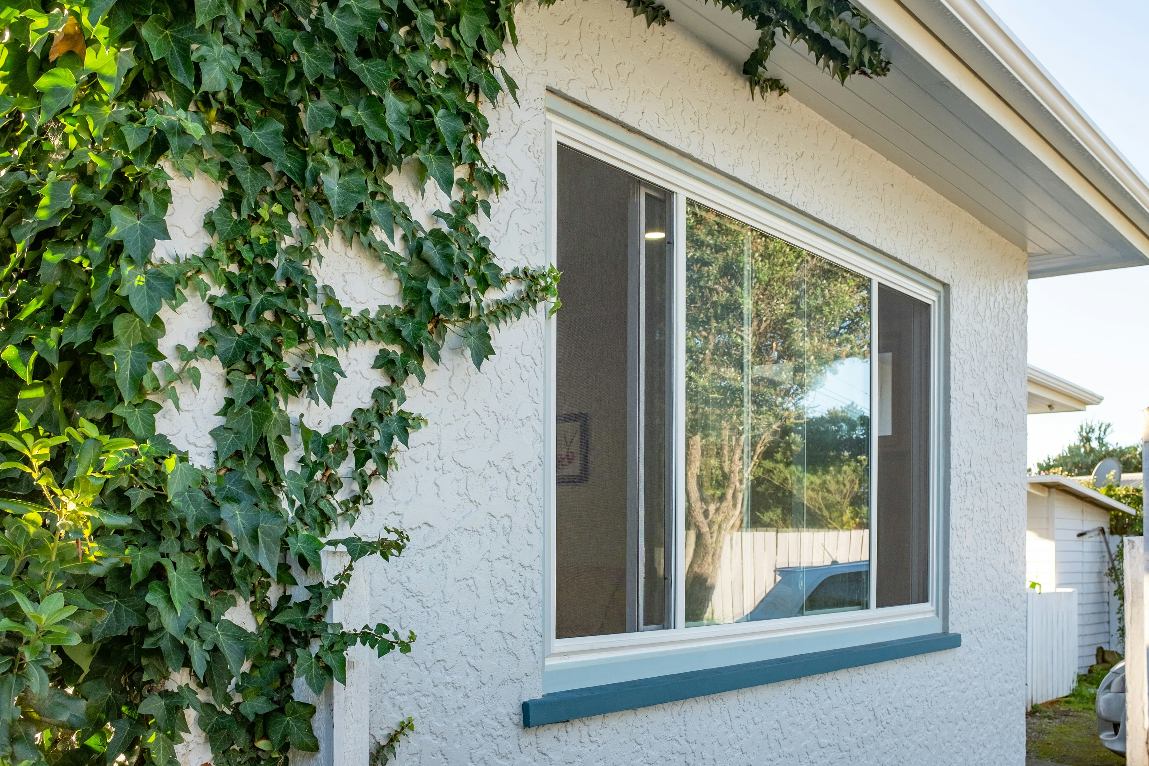 Monolithic Cladding Risk Explained: What NZ Buyers Need to Know